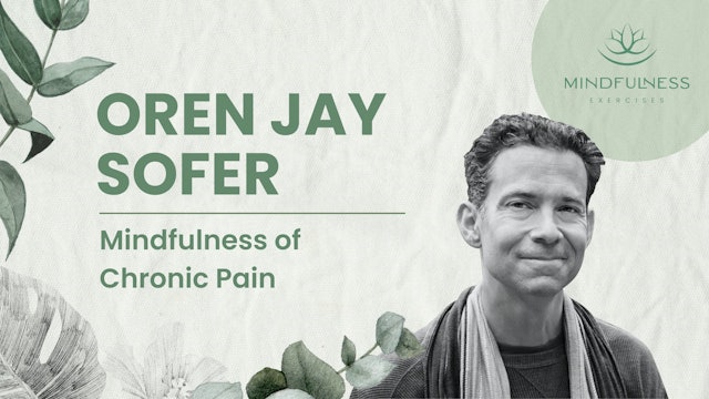 Mindfulness and Chronic Pain - Oren Jay Sofer