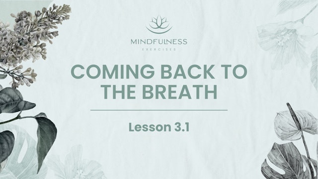 3.1 - Coming Back to the Breath