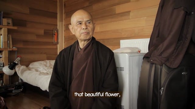 T5P Video Extras - 2013 Thich Nhat Hanh Speaks about the Trinity in his Hut Plum Village France