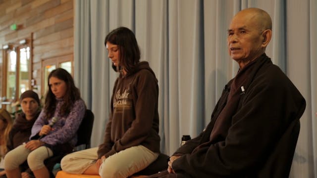 PS Video Extras - Thich Nhat Hanh QA 1