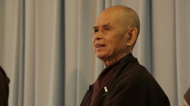 PS Video Extras - Thich Nhat Hanh QA 3