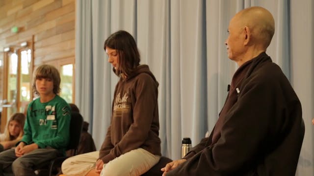 PS Video Extras - Thich Nhat Hanh QA 5