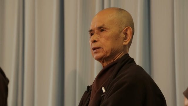 PS Video Extras - Thich Nhat Hanh QA 4