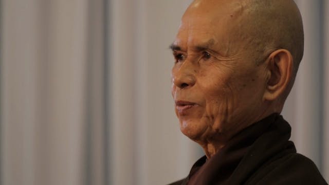 PS Video Extras - Thich Nhat Hanh QA ...