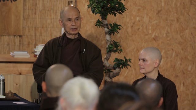 PS Video Extras - Thich Nhat Hanh QA ...