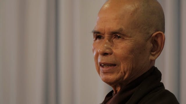 PS Video Extras - Thich Nhat Hanh QA life death