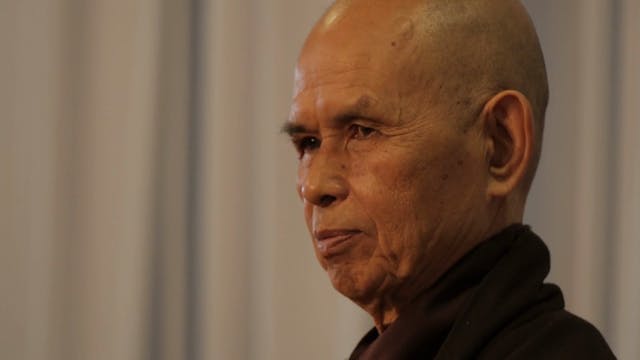 PS Video Extras - Thich Nhat Hanh QA monks