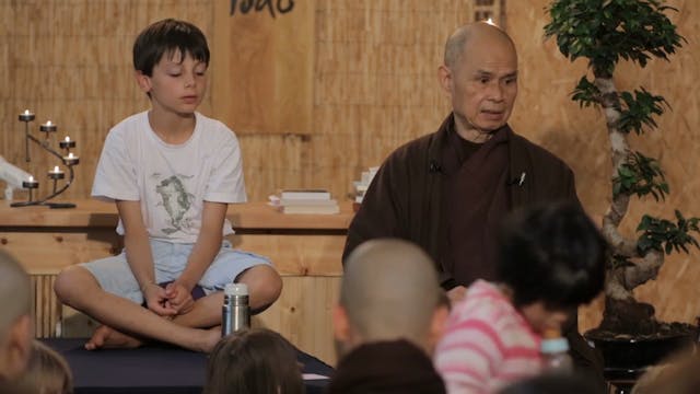 PS Video Extras - Thich Nhat Hanh QA nasty brother