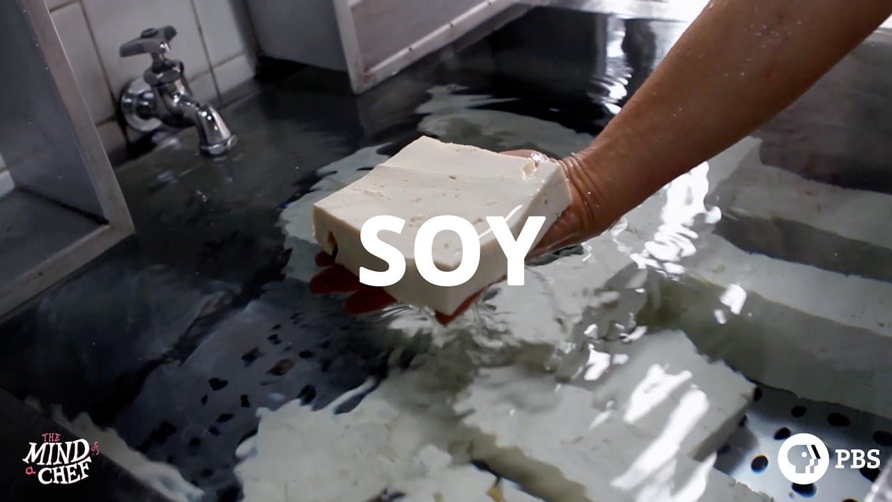 Season 1, Episode 13: Soy - David Chang