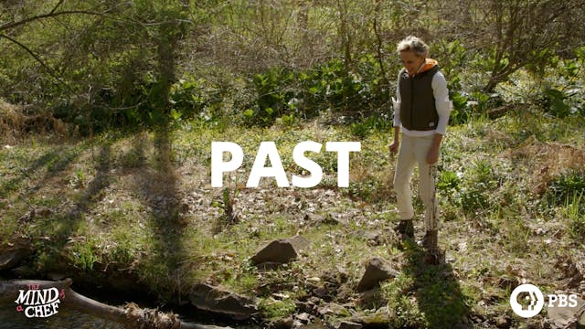 Season 4, Episode 5: Past - Gabrielle Hamilton