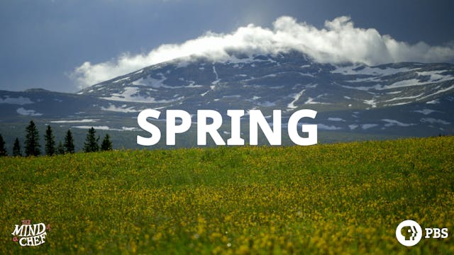 Season 3, Episode 10: Spring - Magnus Nilsson
