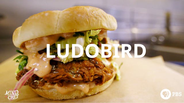 Season 5, Episode 4: LudoBird - Ludo ...