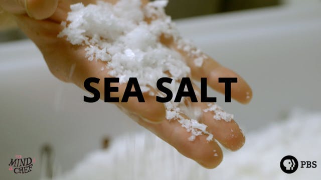 Season 2, Episode 10: Sea/Salt - April Bloomfield