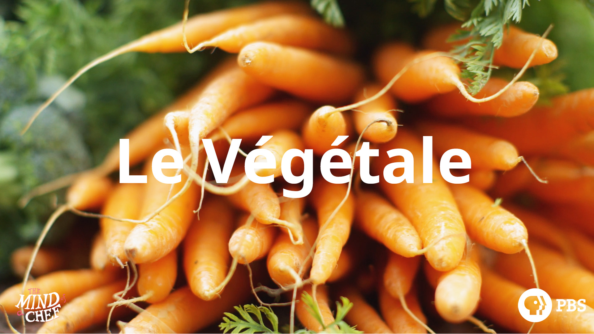 Season 5, Episode 7: Le Végétale - Ludo Lefebvre