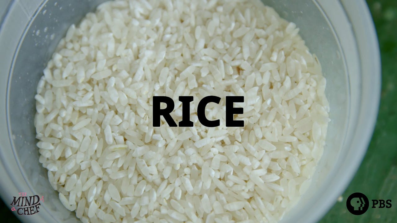 Season 2, Episode 3: Rice - Sean Brock