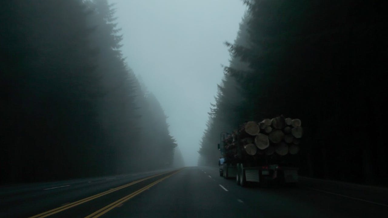 Behind The Redwood Curtain