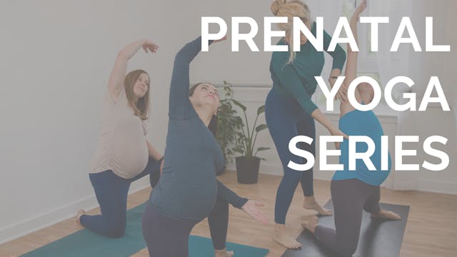 Prenatal Yoga 5-Week Series w/ Sara VanderGoot, CMT, e-RYT 500, Doula
