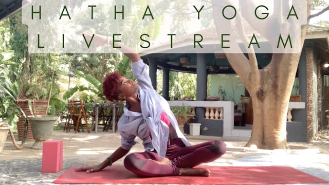 Hatha Yoga - Livestream Classes