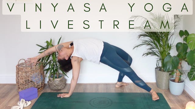 Vinyasa Flow - Livestream Classes