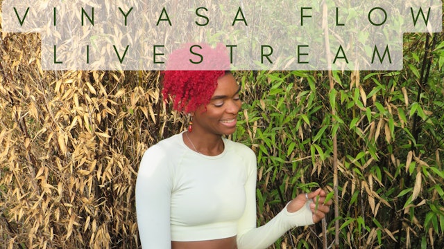 50 Min Livestream Vinyasa Flow with Coco