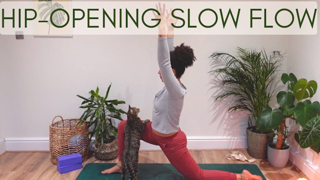 25 Min Slow Flow with Nicole - Hip-Opening to music