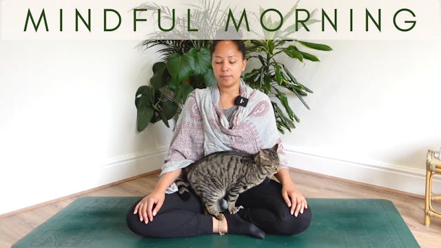 8 Min Morning Meditation with Nicole