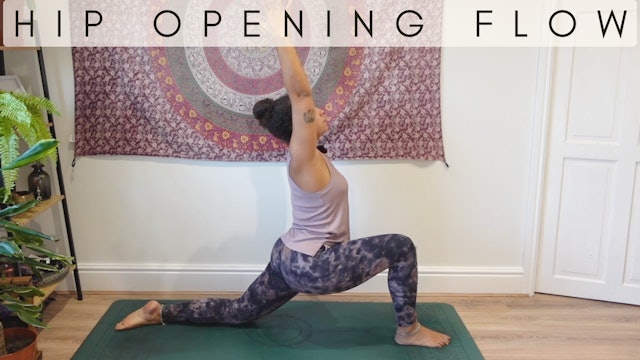 14 Min Slow-to-Dynamic Vinyasa Flow with Nicole - Hip-opening