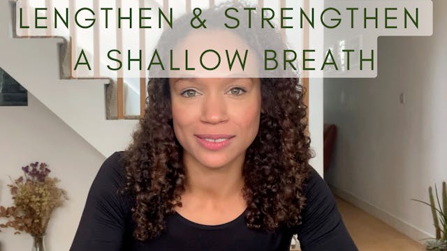 7 Min Belly Breathing with Zakiya