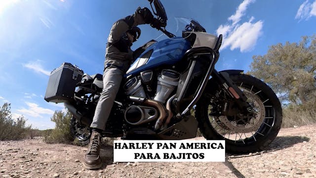 La Harley Pan Am para bajitos 