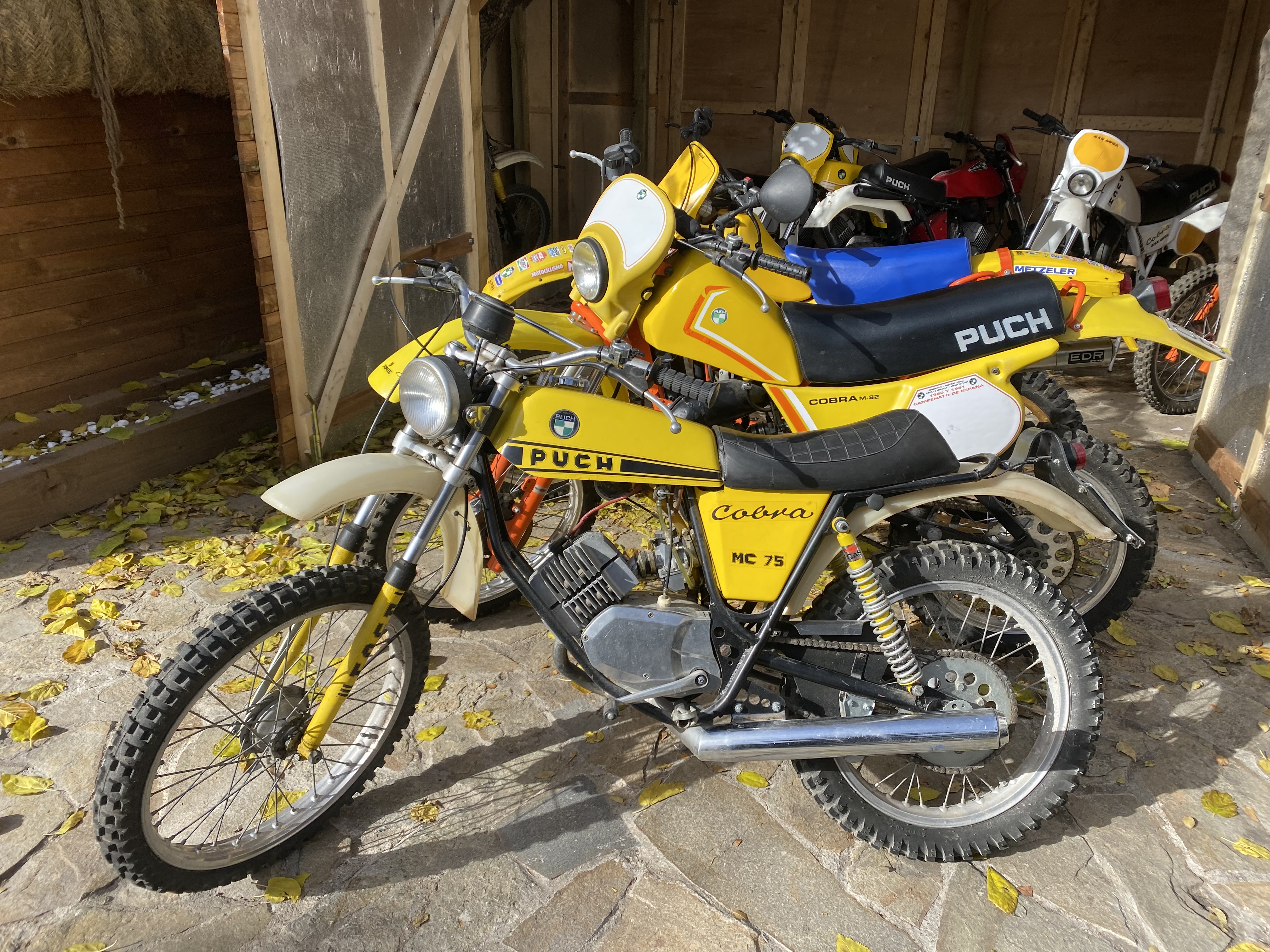 Puch Cobra & Yamaha XT350
