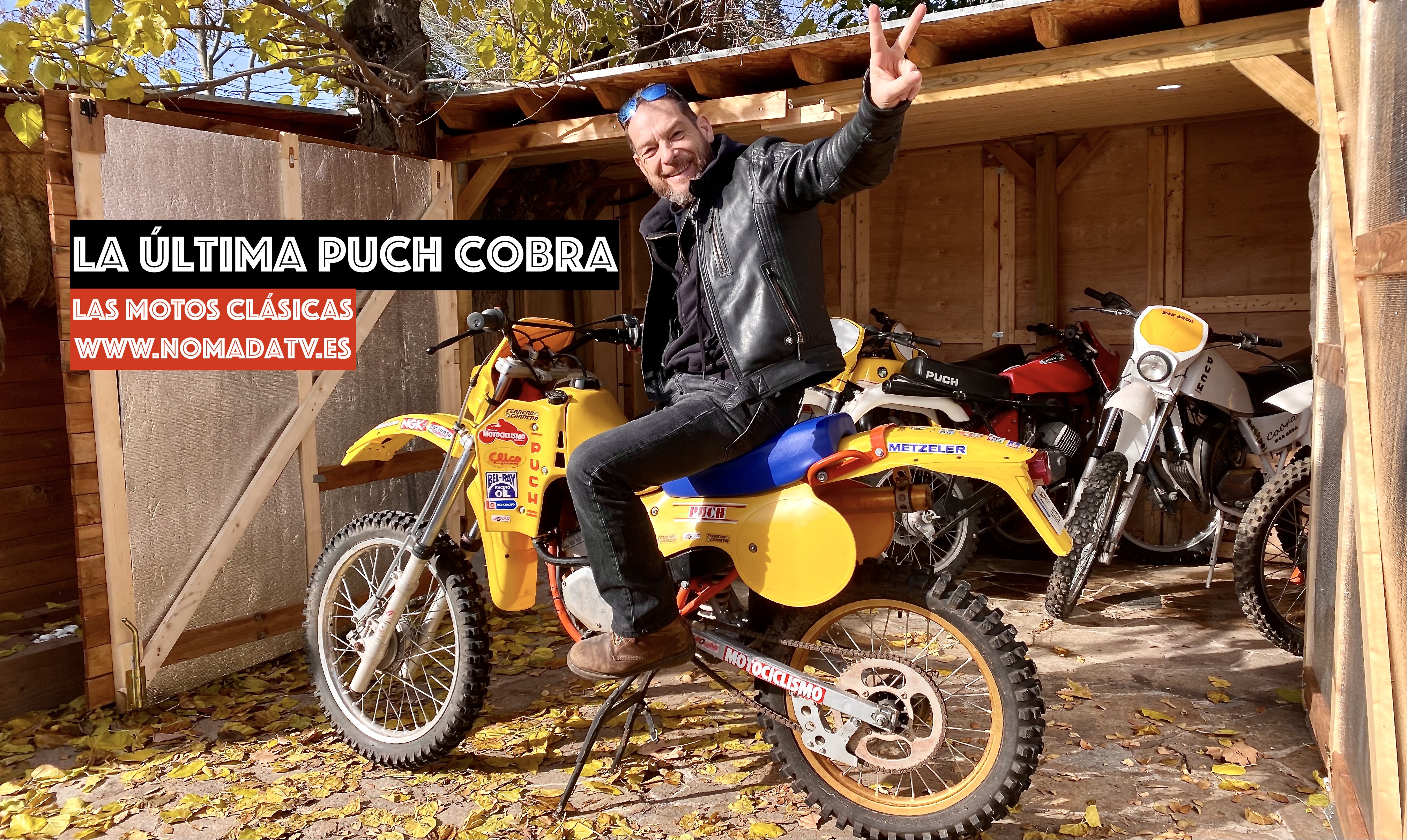 PUCH COBRA