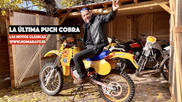 PUCH COBRA