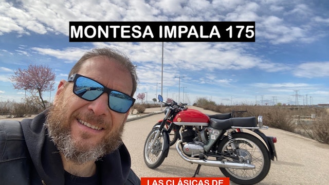 MONTESA IMPALA175