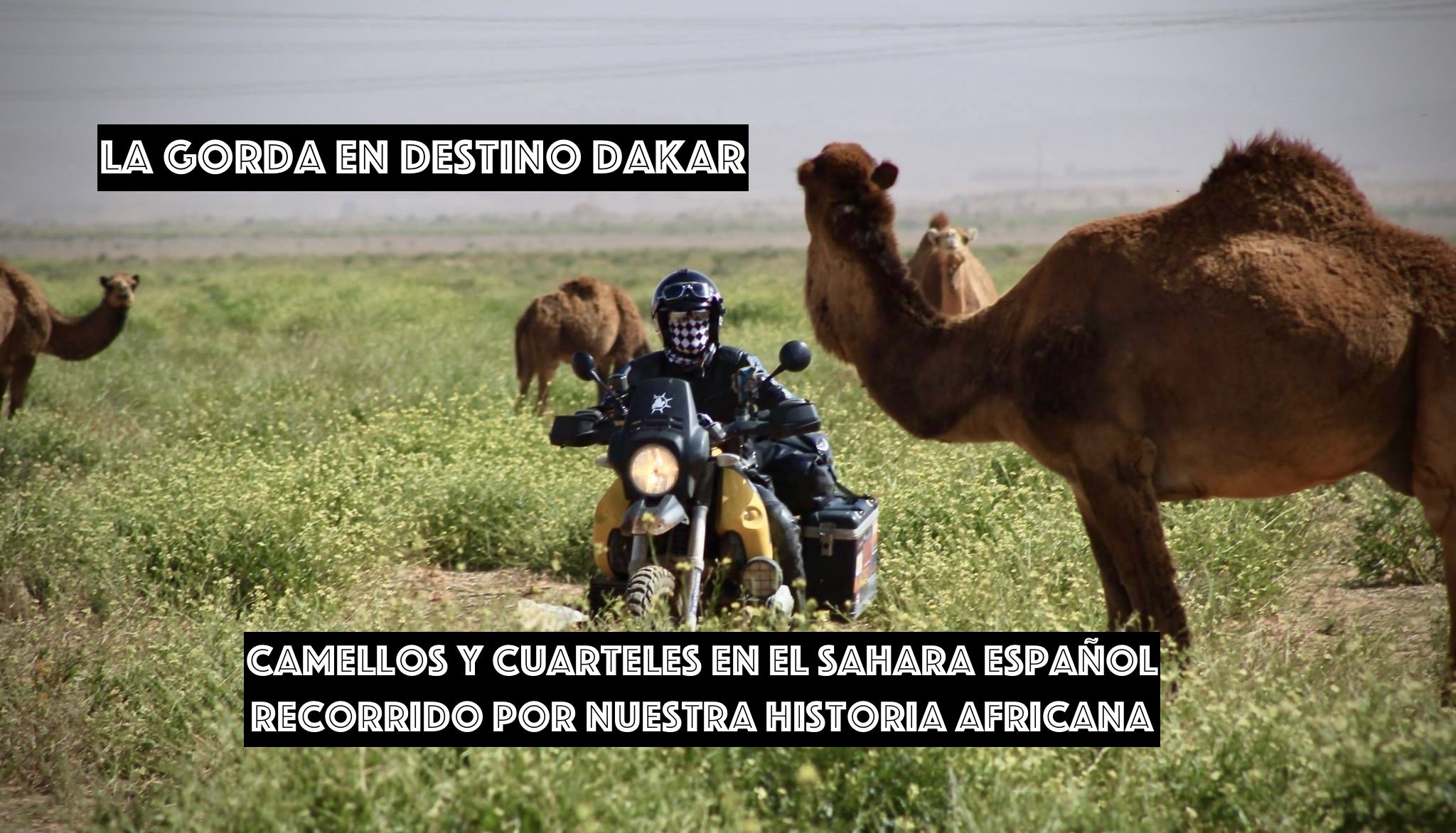 9. De Tarfaya a Villacisneros