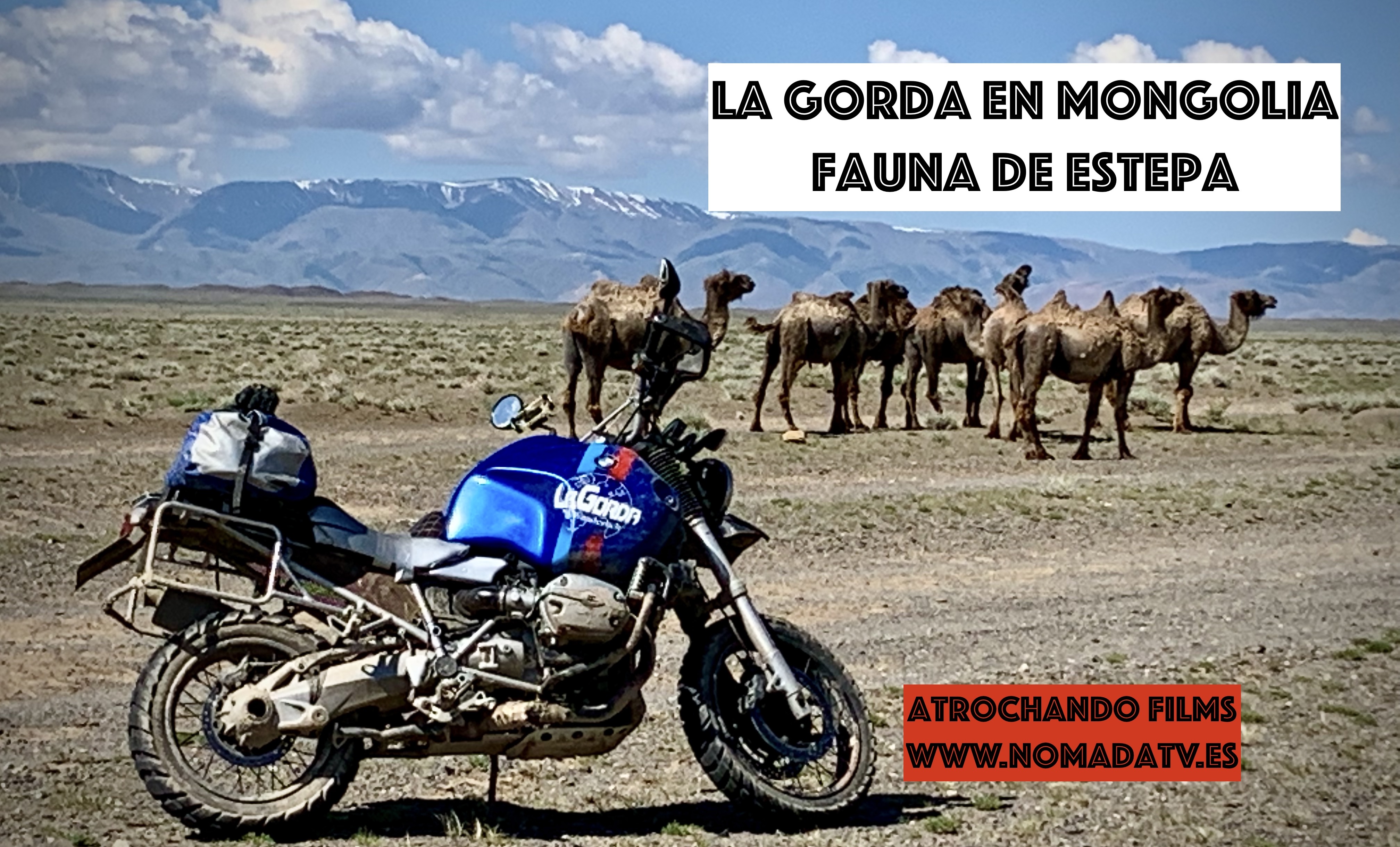 8. La Gorda en Mongolia. Fauna de estepa