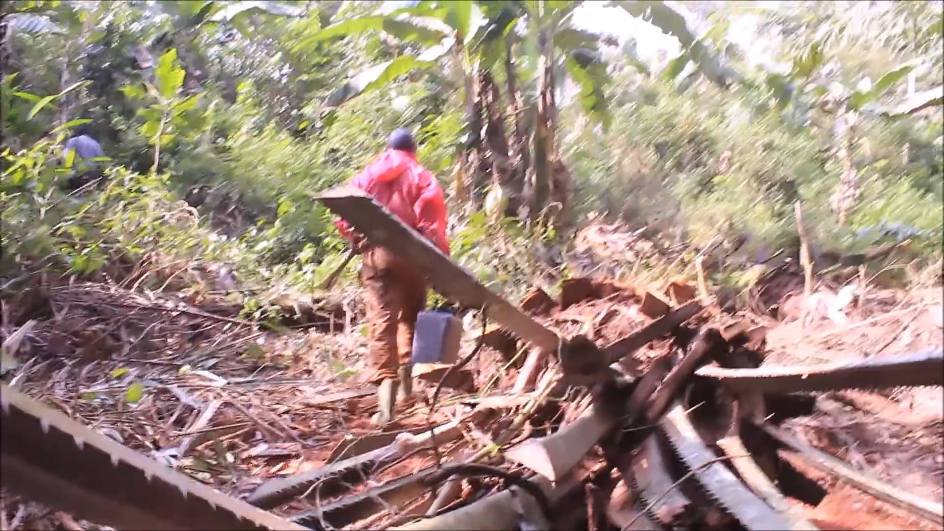 A LA RECHERCHE DU OBAMA PERDU