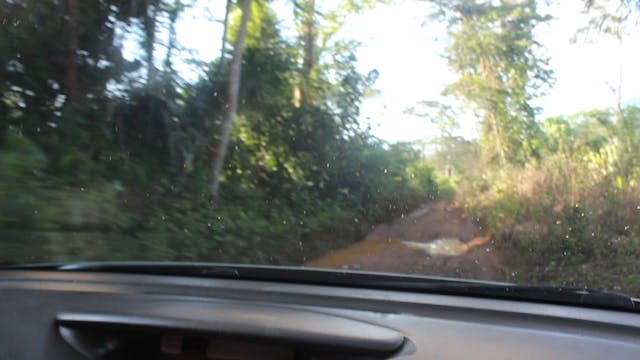 BEKOLO JUNGLE TALK