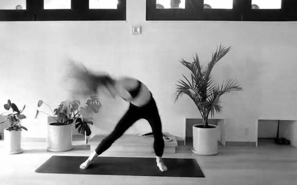 60 min Shifted w/ Trilby