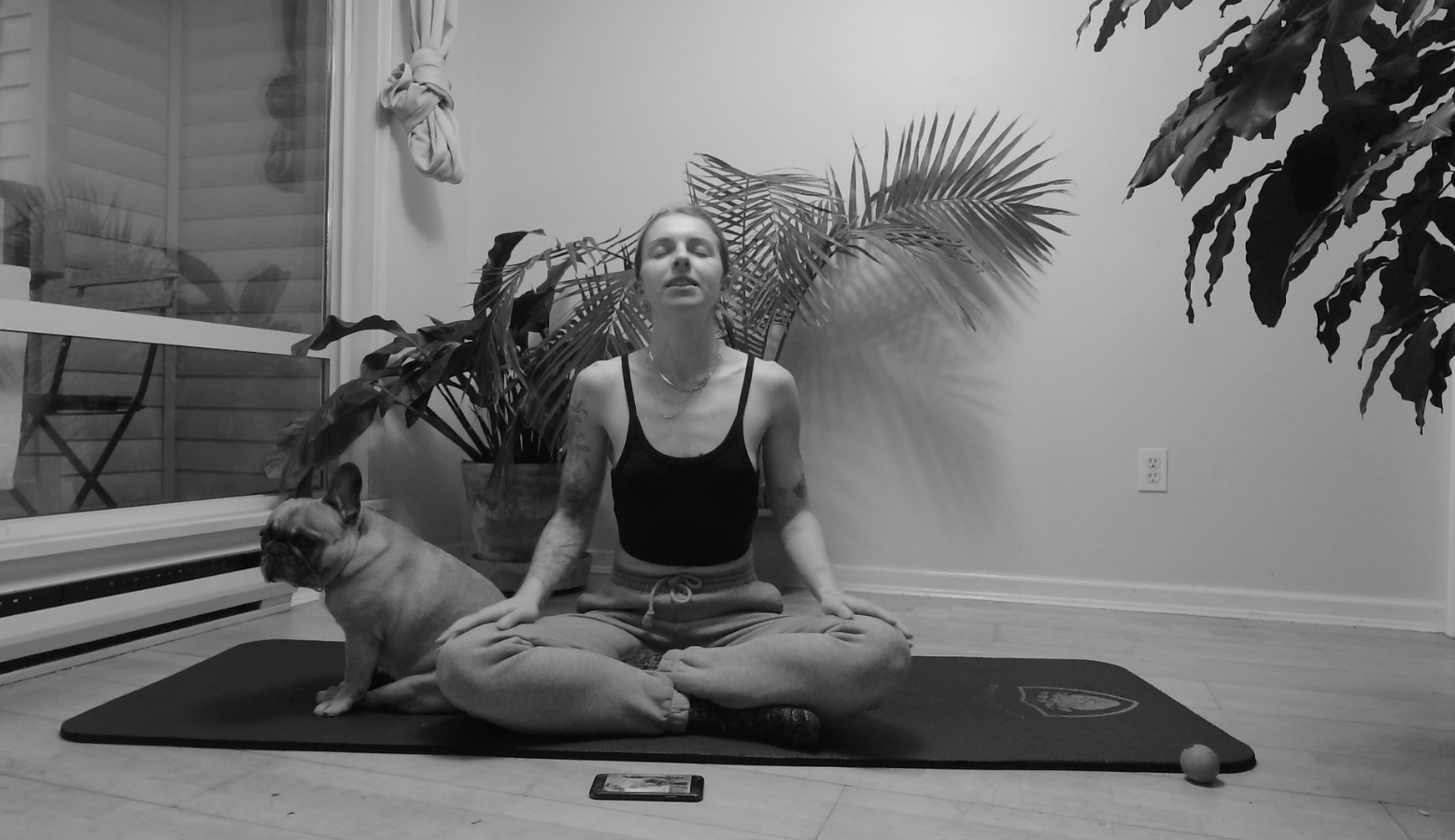 the art of gratitude & meditation