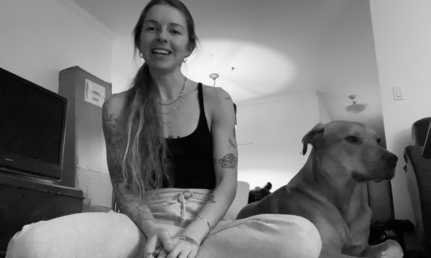 3 tools to support digestion & nutrient integration w/ Trilby