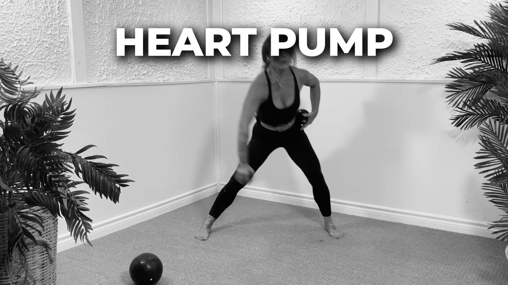 HEART PUMP