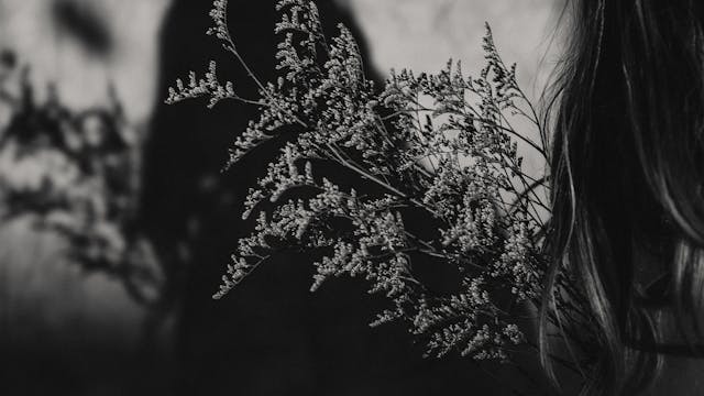 heart werk | 7 days of heart pumping cardio