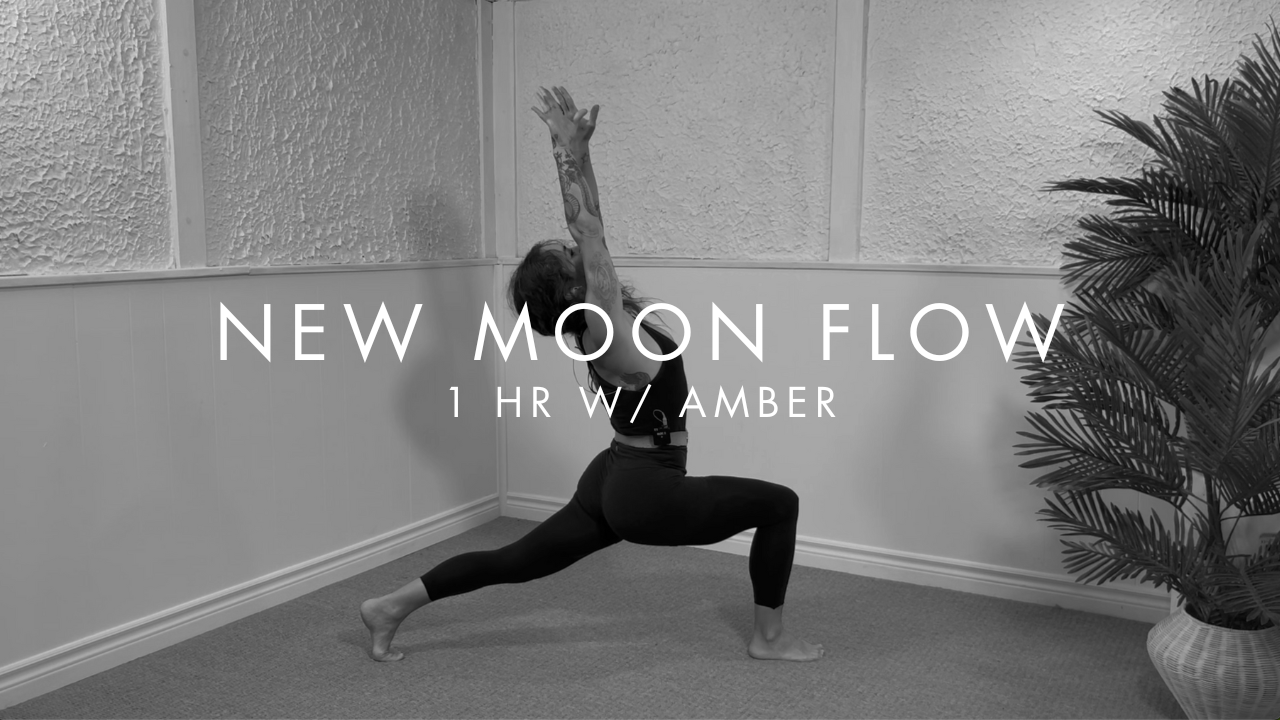 1 hr/ BE COURAGE w/ Amber (New Moon in Leo)