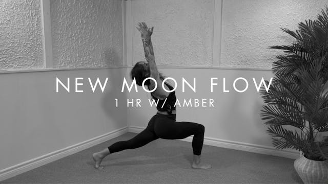 1 hr/ BE COURAGE w/ Amber (New Moon i...