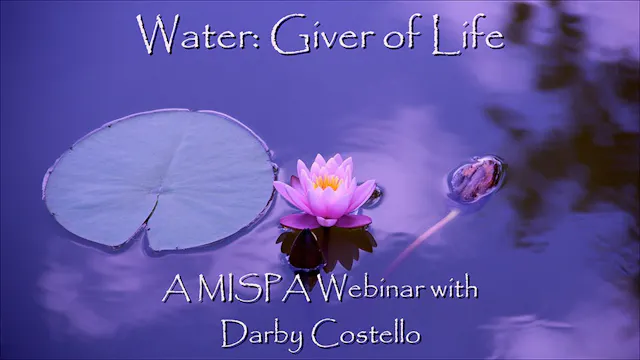 Water: Giver of Life