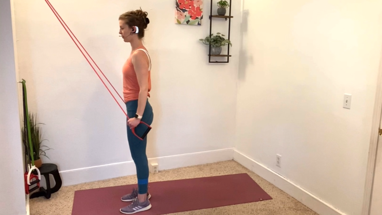 Lower Body and Back - Knee friendly