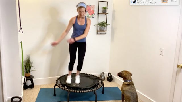 Trampoline HIIT