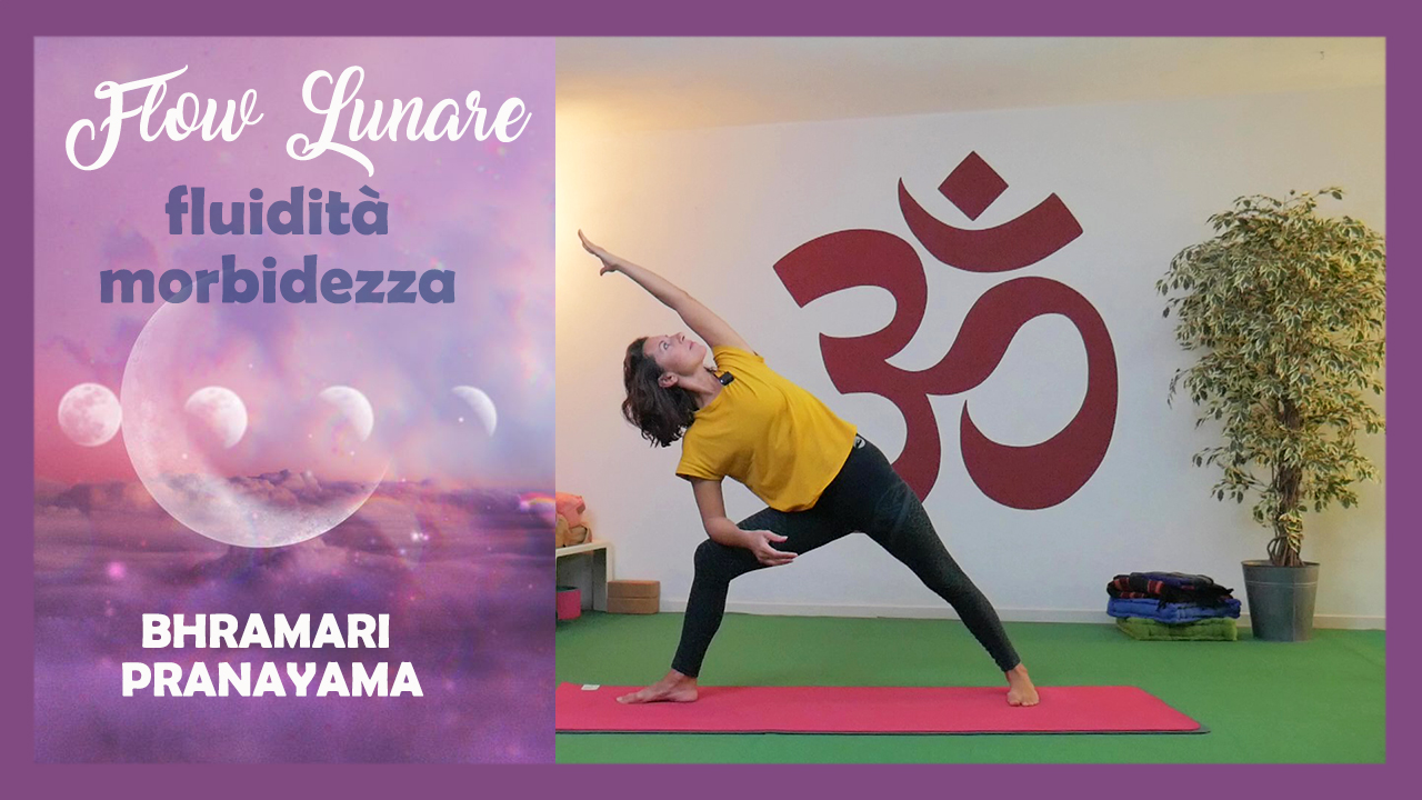 Flow Lunare - fluidità e morbidezza