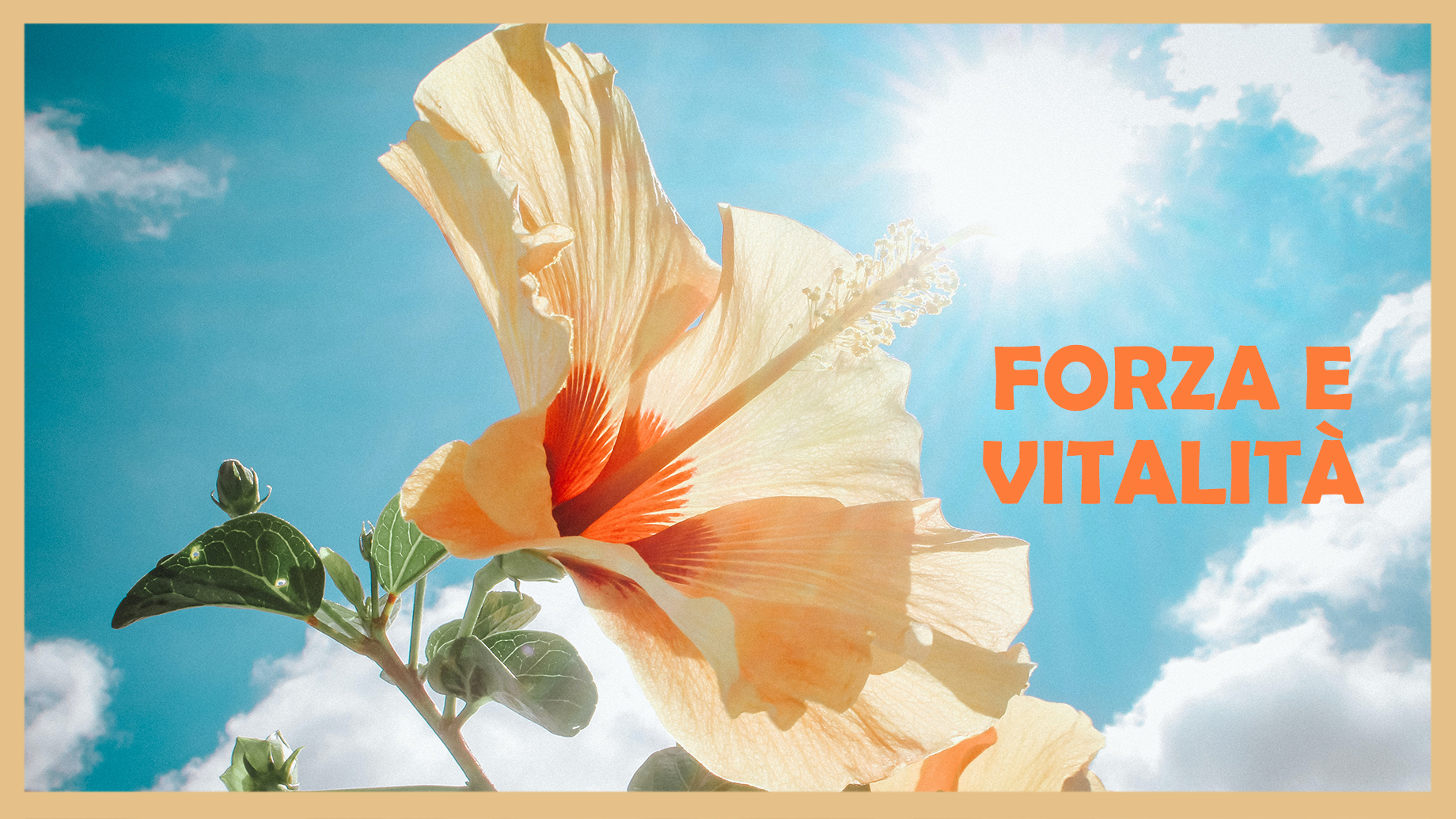 FORZA E VITALITÀ