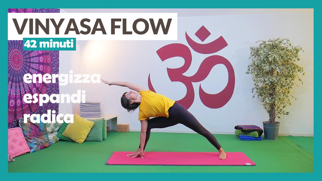 Vinyasa Flow - energizza, espandi, radica